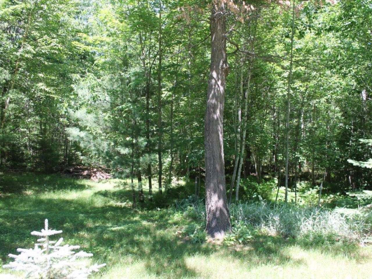 6481 South Bluebird Road Lake Tomahawk, WI 54539 - Photo 30 of 38 Gallery Image 30