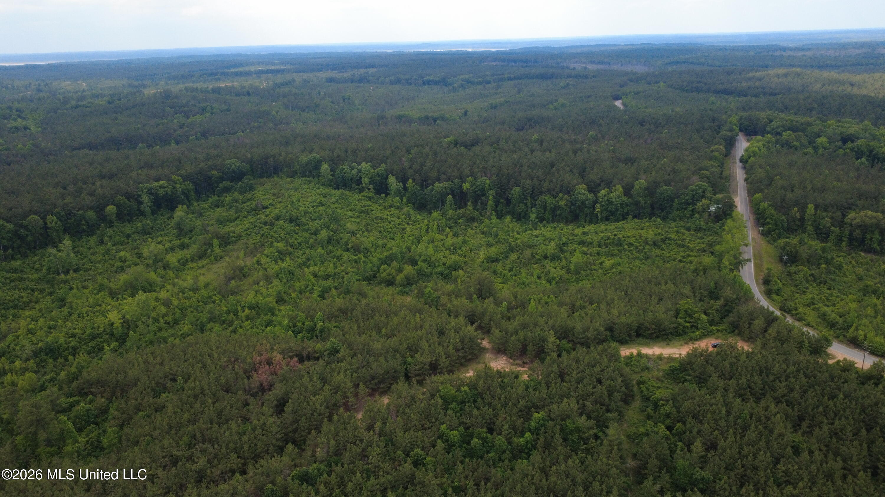 1 Gums Crossing Road Coffeeville, MS 38922 - Photo 18 of 36 DJI_0333