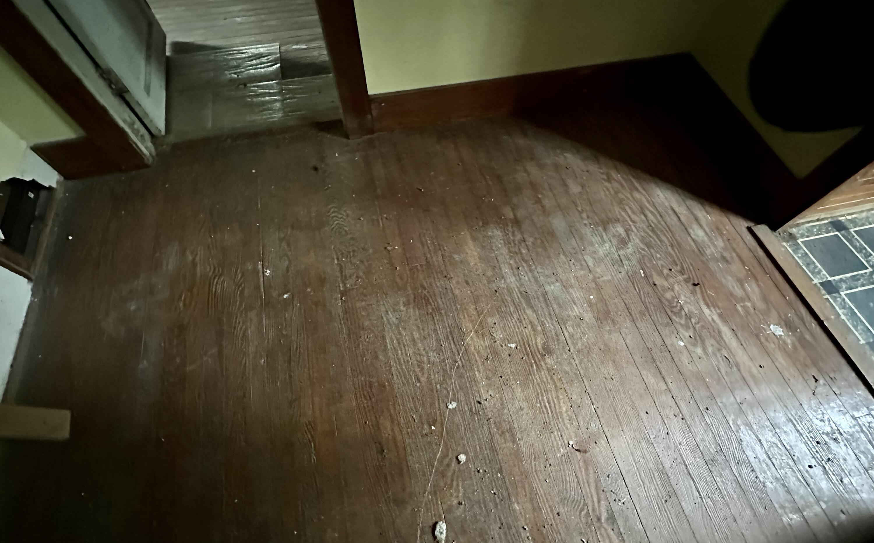 1420 Highway 52 Moncks Corner, SC 29461 - Photo 11 of 17 34C73D52-42B4-4428-811F-C2C19D710F5F_1_2