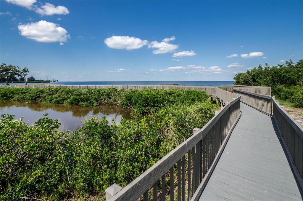 322 Windrush Loop, Unit 22 Tarpon Springs, FL 34689 - Photo 40 of 46