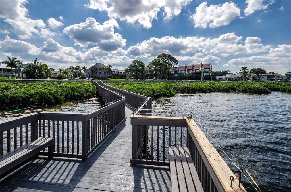 322 Windrush Loop, Unit 22 Tarpon Springs, FL 34689 - Photo 43 of 46