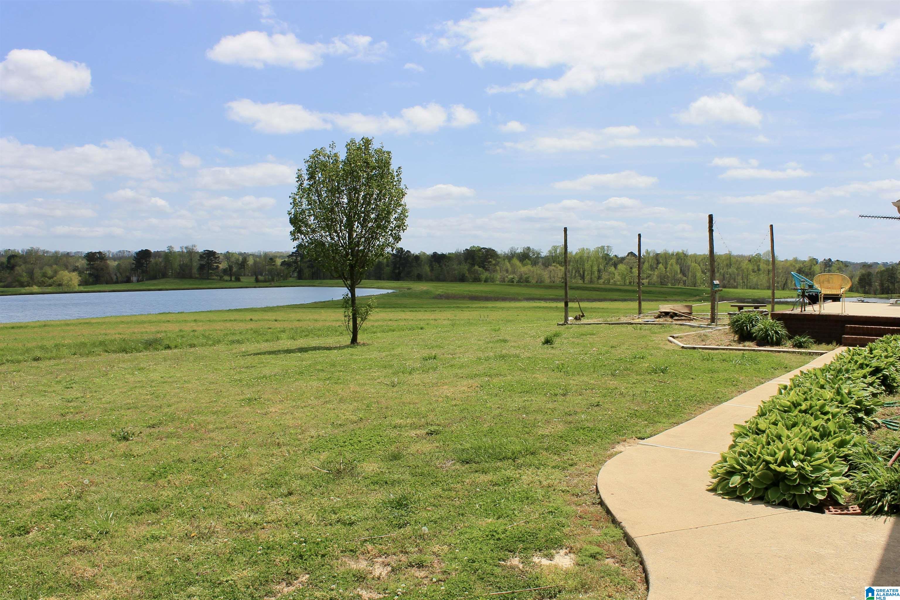 235 Lake Road Steele, AL 35987 - Photo 18 of 23