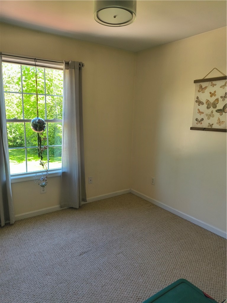 4553 Lower River Road Lewiston, NY 14092 - Photo 25 of 34