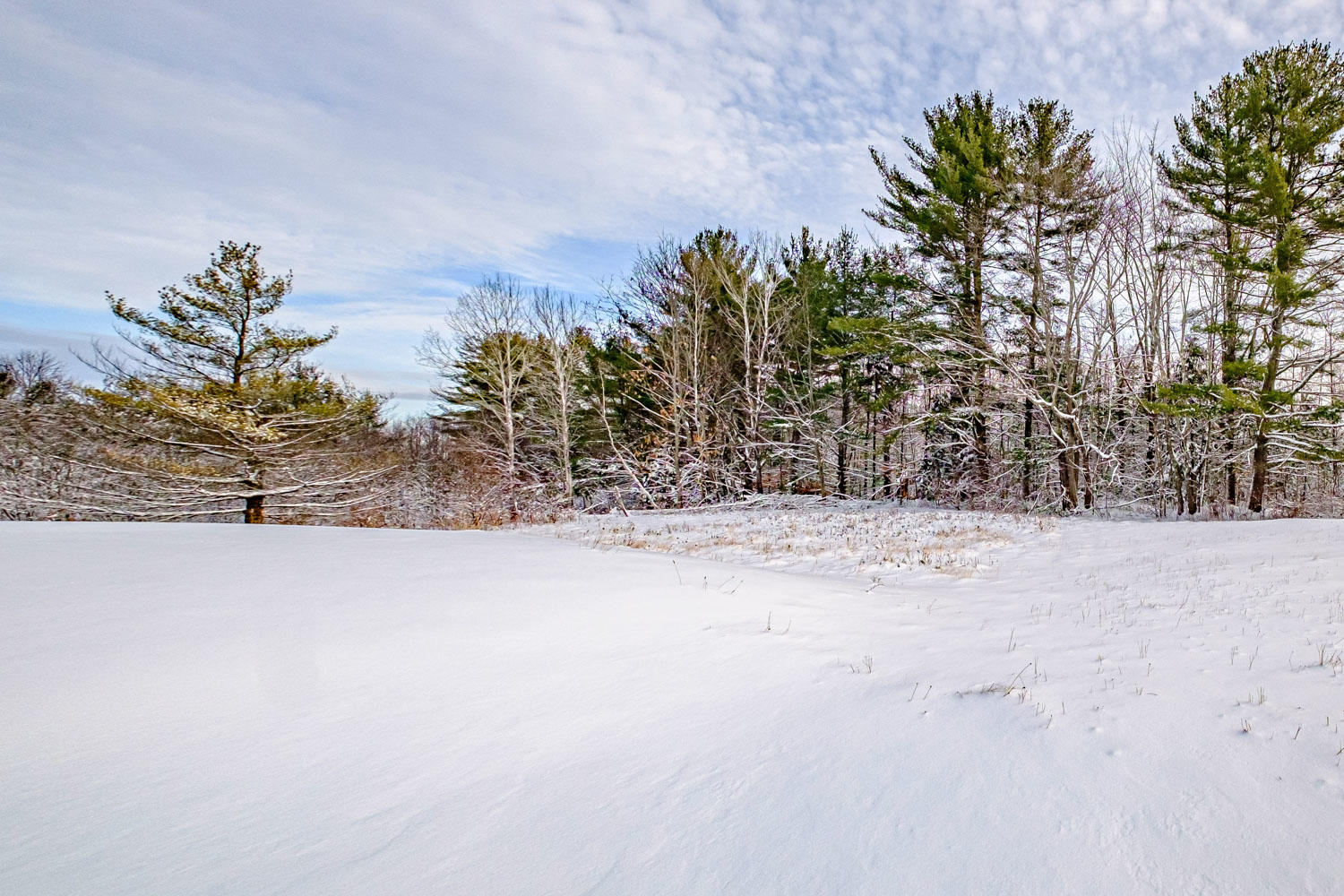 221 Beech Ridge Road Scarborough, ME 04074 - Photo 37 of 43 20191204gp-60082