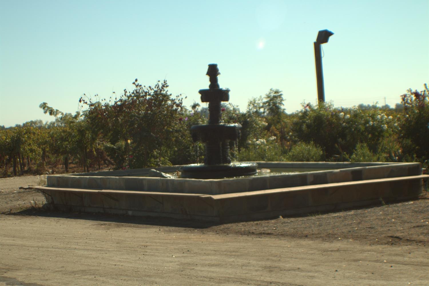 17036 North Locust Tree Road Lodi, CA 95240 - Photo 15 of 19 a view of a water fountain