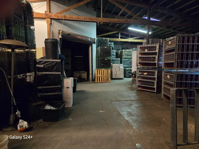 $4,200,000 | 17036 North Locust Tree Road, Lodi, CA 95240