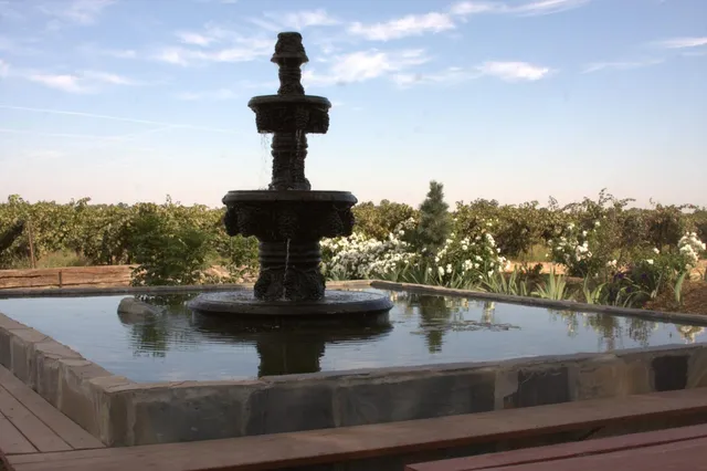 $4,200,000 | 17036 North Locust Tree Road, Lodi, CA 95240