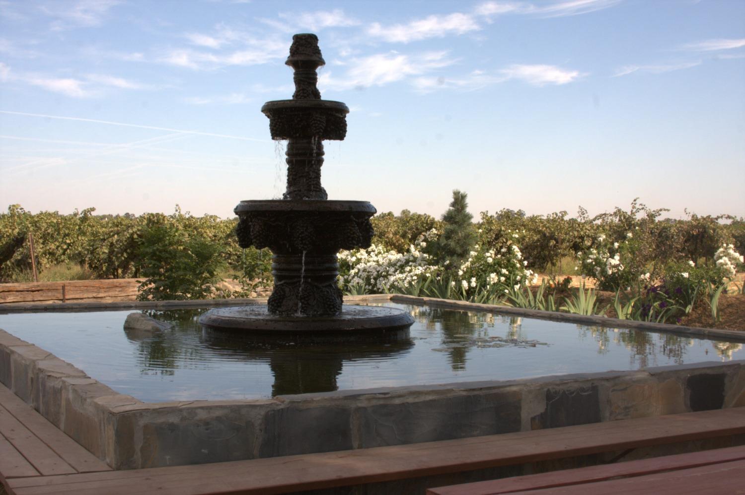 17036 North Locust Tree Road Lodi, CA 95240 - Photo 9 of 19 a view of a fountain in the middle of a building