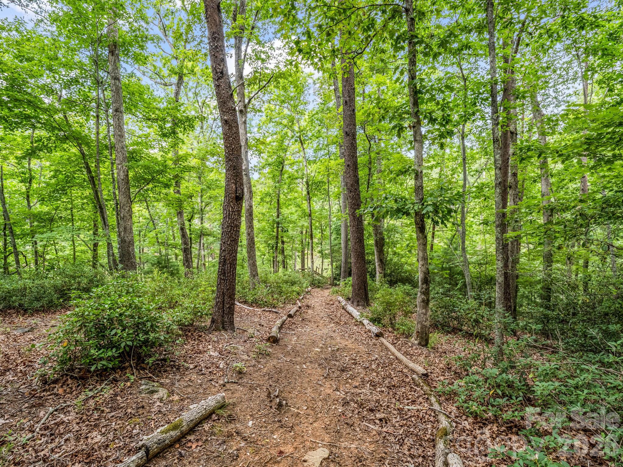 617 South Cove Road Mill Spring, NC 28756 - Photo 41 of 48