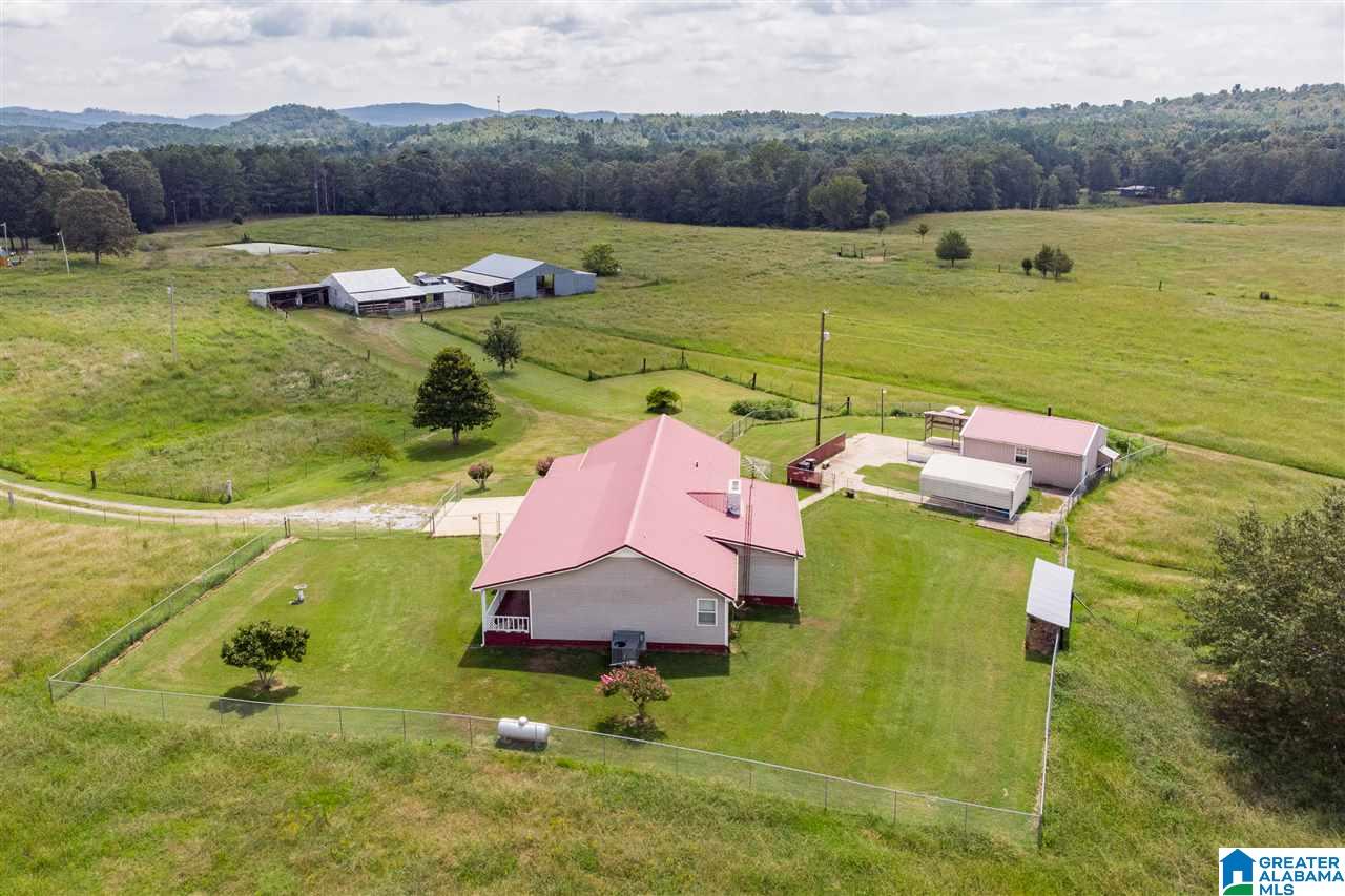 654 Mitchellville Road Ohatchee, AL 36271 - Photo 41 of 41