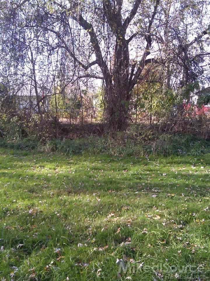 0 Father Street Harrison Township, MI 48045 - Photo 1 of 5