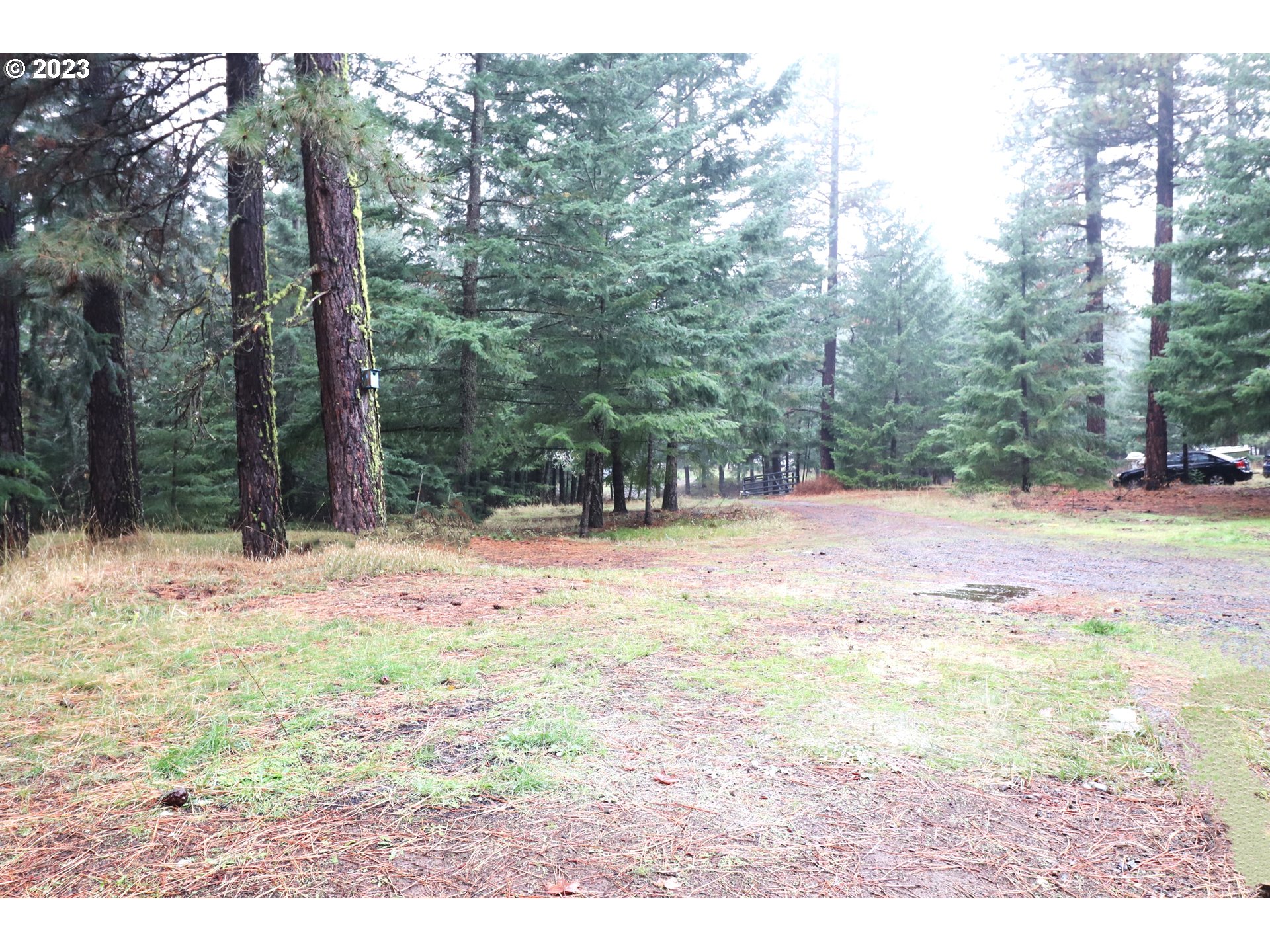 21 Canyon Loop Road Lyle, WA 98635 - Photo 4 of 25 Gallery Image 4
