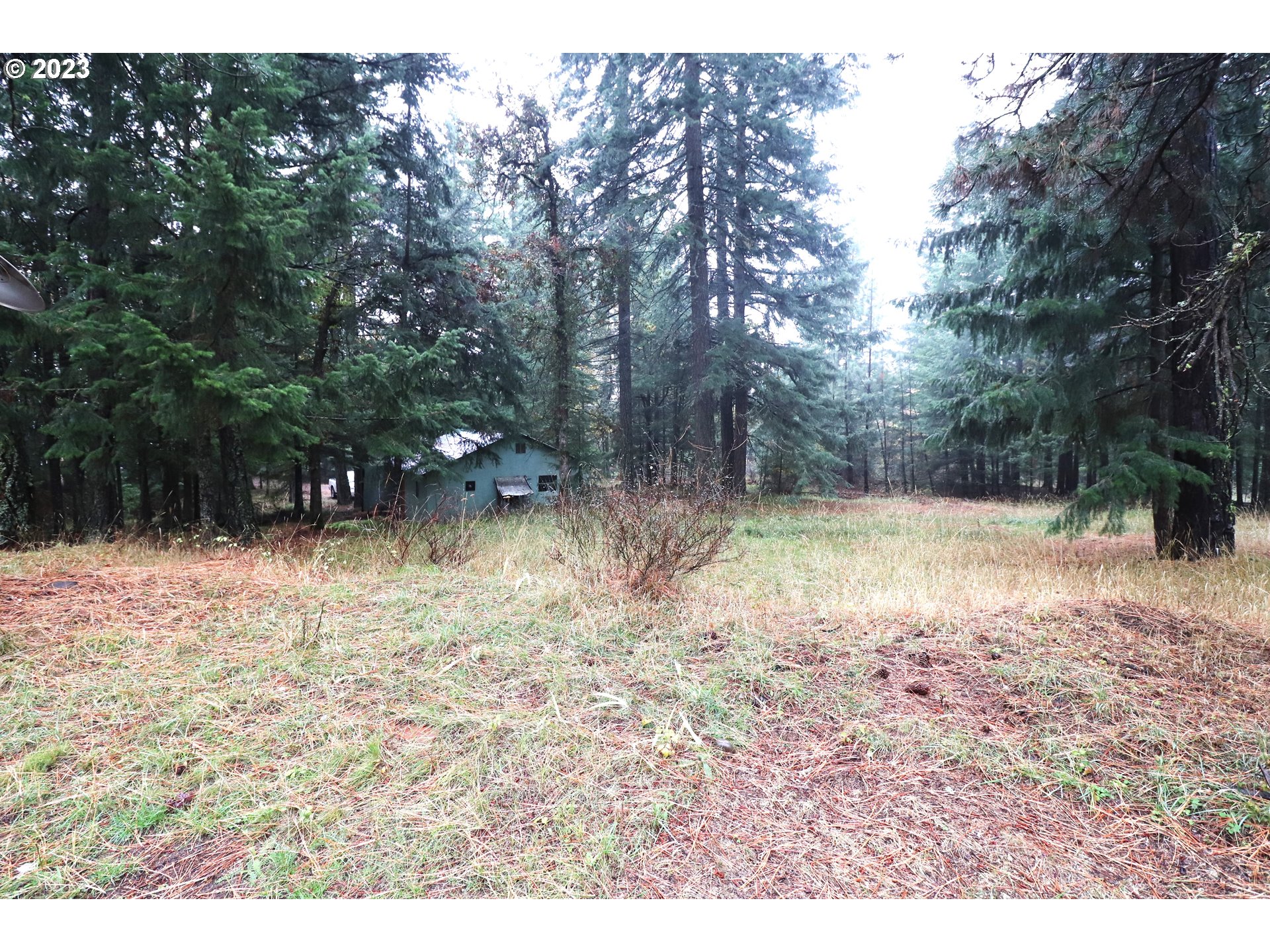 21 Canyon Loop Road Lyle, WA 98635 - Photo 6 of 25 Gallery Image 6