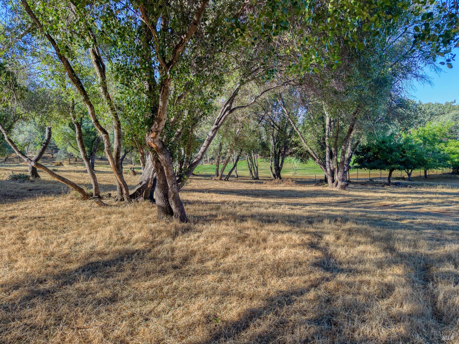 19933 Powder Horn Road Hidden Valley Lake, CA 95467 - Photo 13 of 68