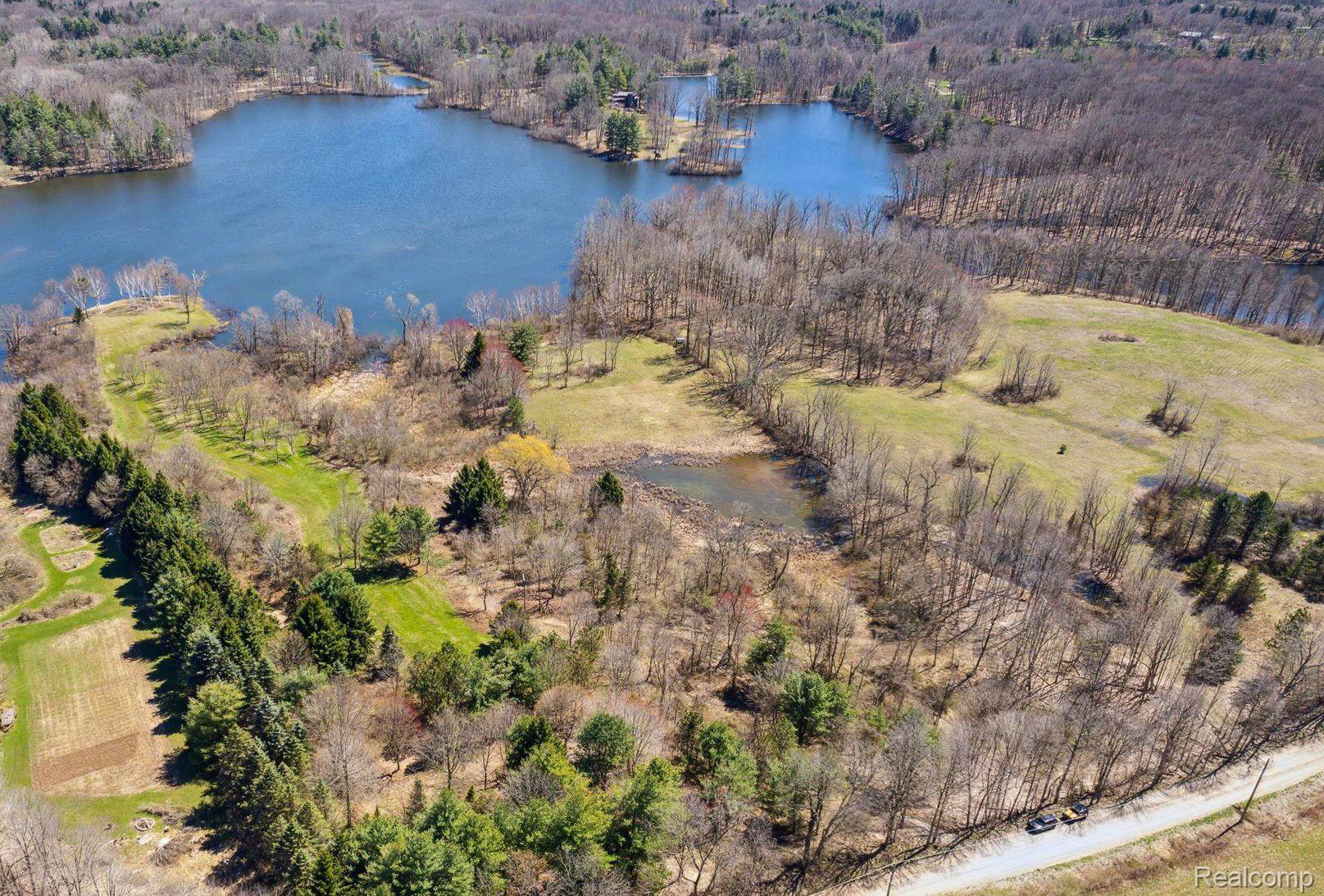 5380 Hagerman Road Leonard, MI 48367 - Photo 30 of 38 Pine Trees mark the north property