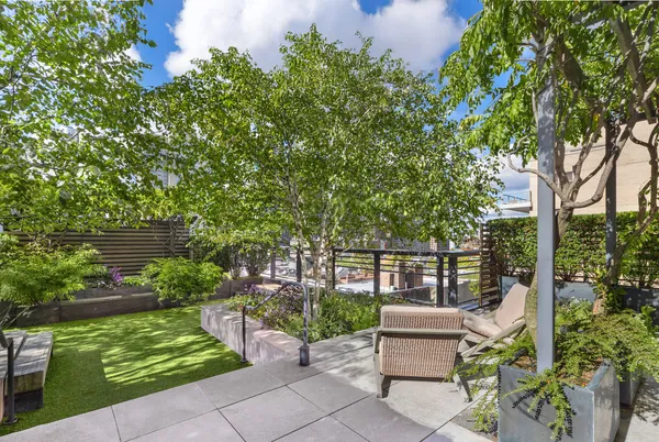 a view of a backyard with plants and a bench