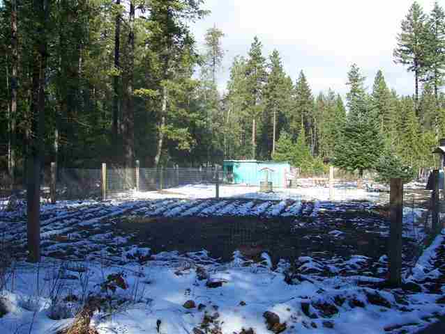 183 Cottage Road East Newport, WA 99156 - Photo 6 of 8