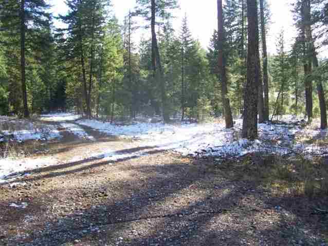 183 Cottage Road East Newport, WA 99156 - Photo 7 of 8