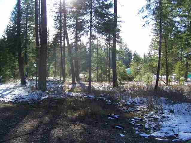 183 Cottage Road East Newport, WA 99156 - Photo 8 of 8