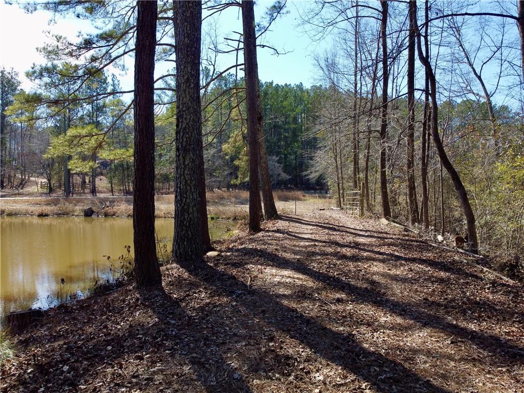 2020 Bailey Creek Road Covington, GA 30016 - Photo 12 of 17 a backyard of a house with lots of green space