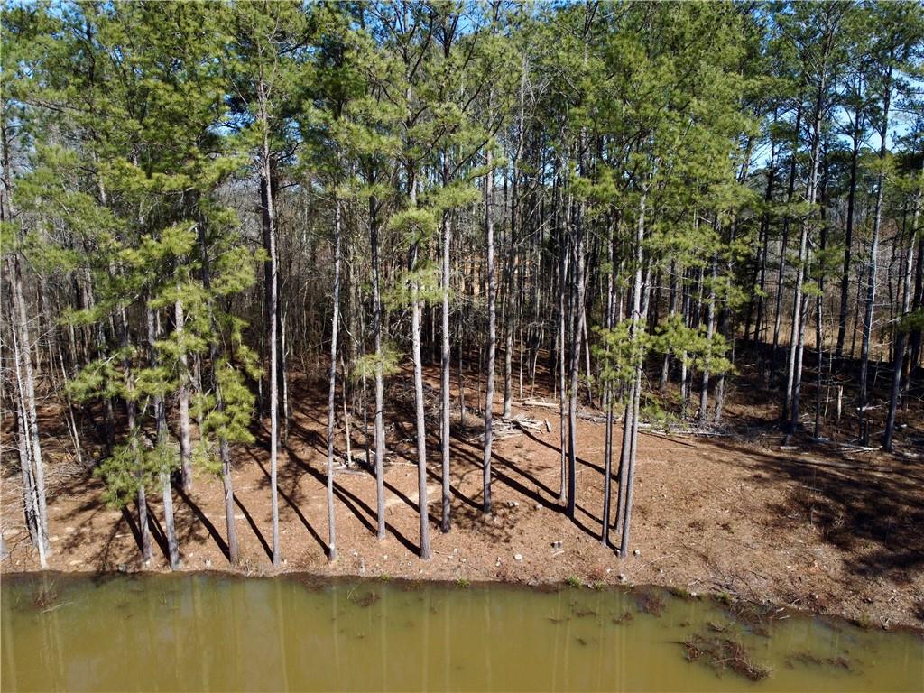 2020 Bailey Creek Road Covington, GA 30016 - Photo 13 of 17 a view of swimming pool with a yard