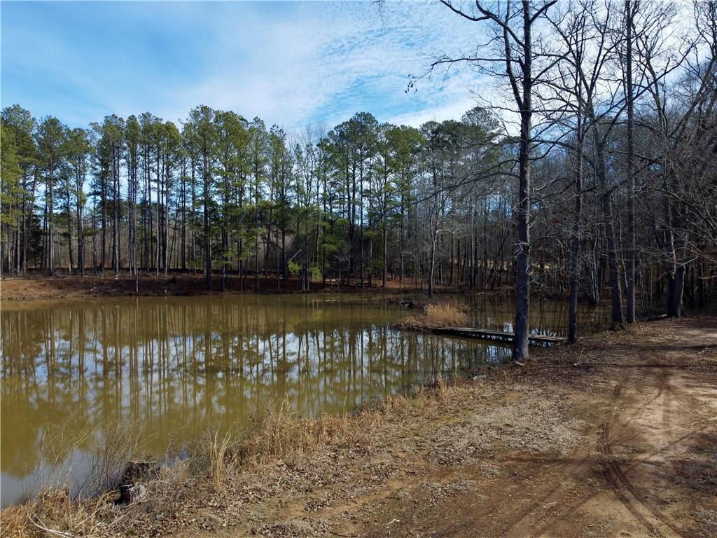2020 Bailey Creek Road Covington, GA 30016 - Photo 4 of 17 a view of lake with green space