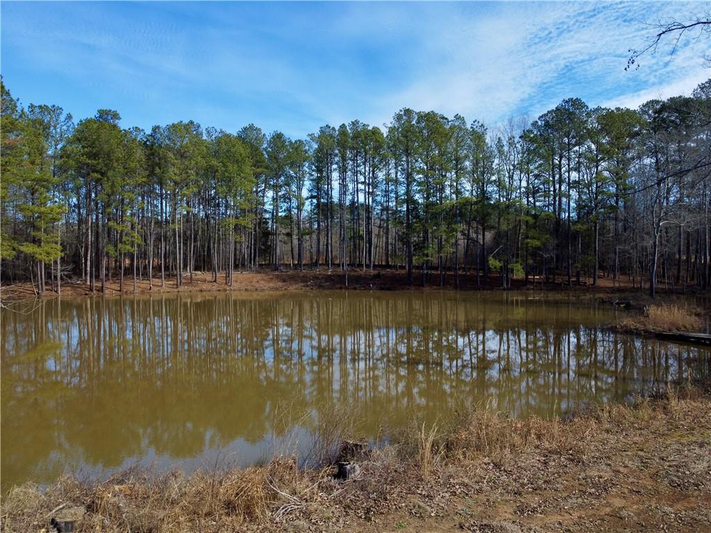 2020 Bailey Creek Road Covington, GA 30016 - Photo 5 of 17 a view of lake