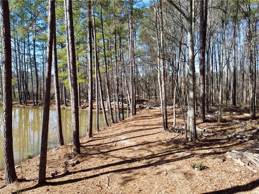 2020 Bailey Creek Road Covington, GA 30016 - Photo 9 of 17 a view of a backyard of the house