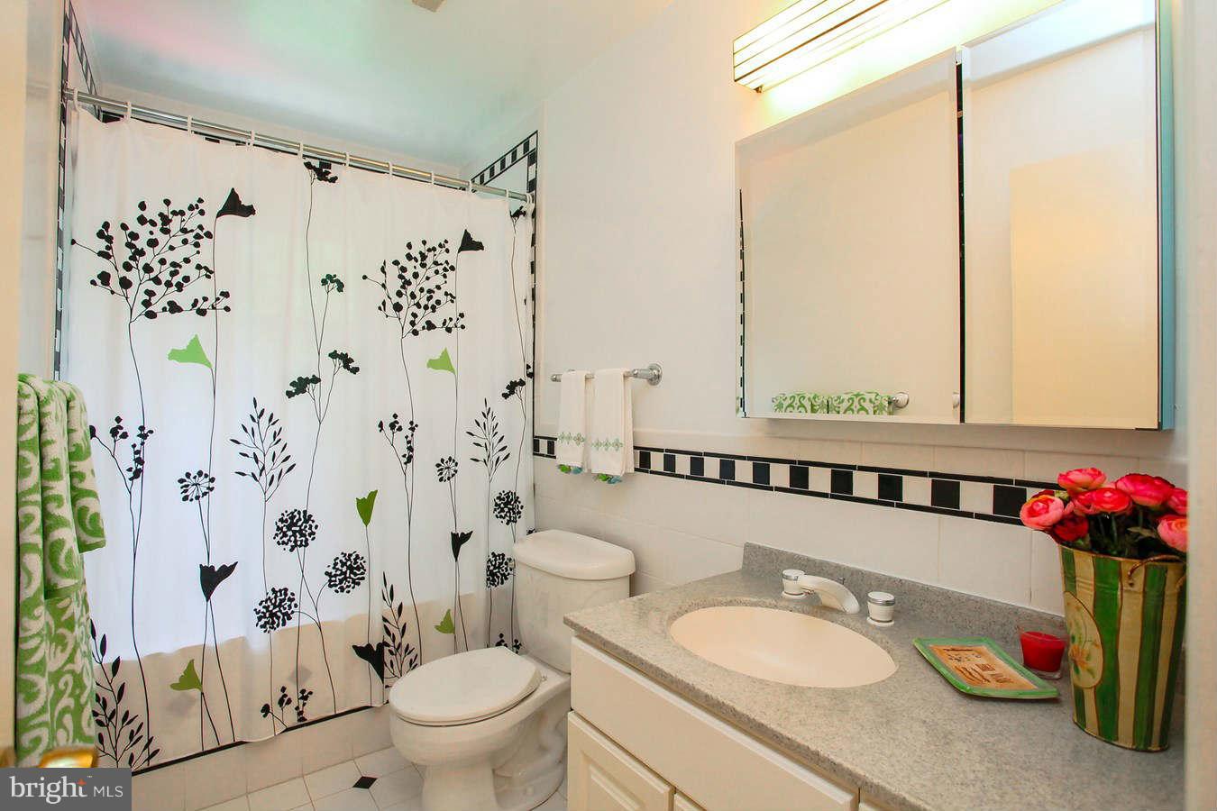 3706 North Glebe Road Arlington, VA 22207 - Photo 18 of 24 Bath