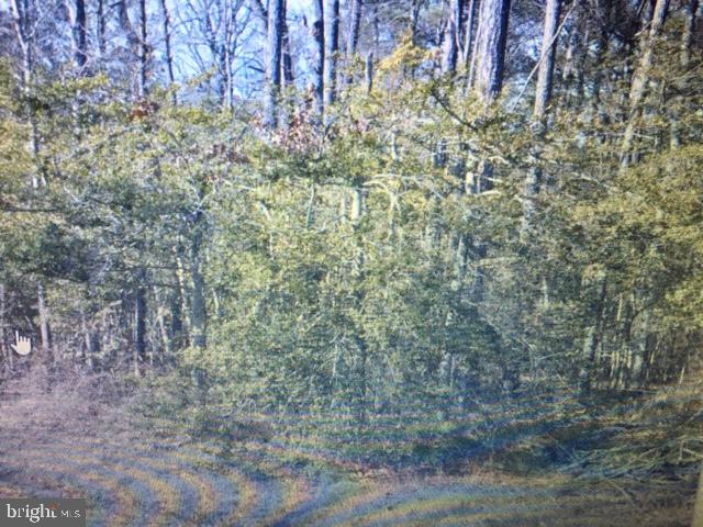Lot #6 Van Ward Road Abell, MD 20606 - Photo 1 of 3 From the Road