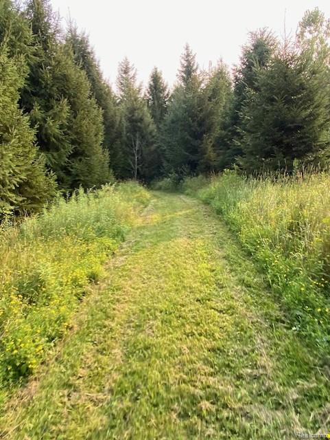7762 Mason Road Yale, MI 48097 - Photo 21 of 40