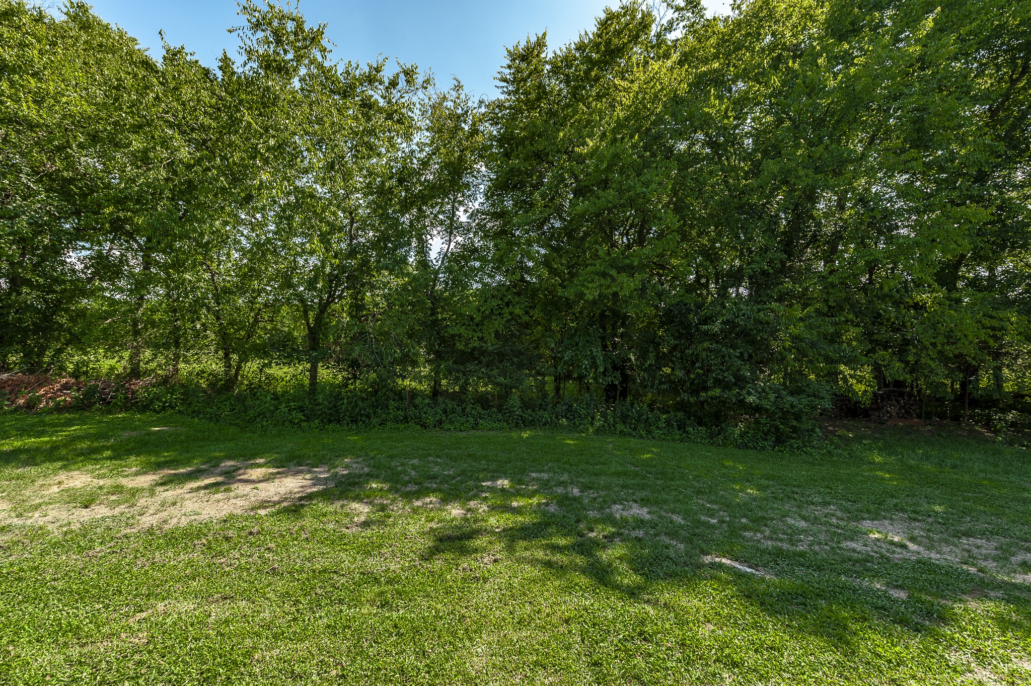 1019 Benwick Road Hendersonville, TN 37075 - Photo 10 of 66 a view of a green field with trees