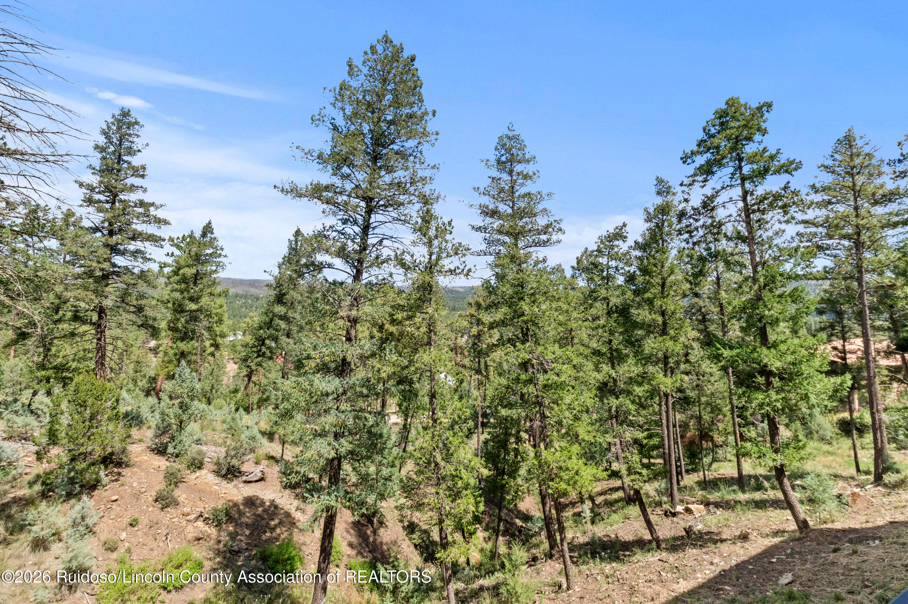 204 Mountain High Circle Ruidoso, NM 88345 - Photo 115 of 120 Gallery Image 115