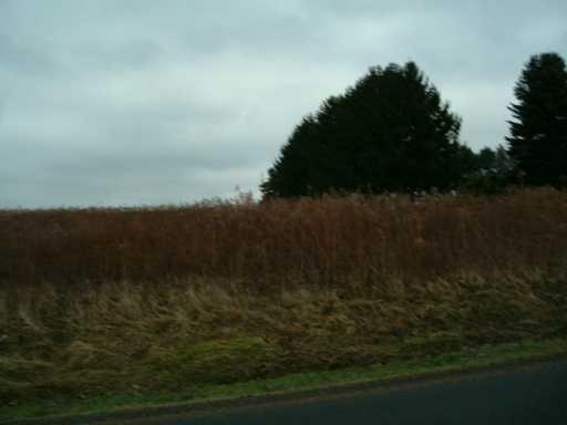 376 Lot # 2 North Road Butler, PA 16001 - Photo 3 of 5 Land.