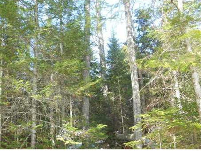 500 Dresser Road Bucksport, ME 04416 - Photo 17 of 28 Land.