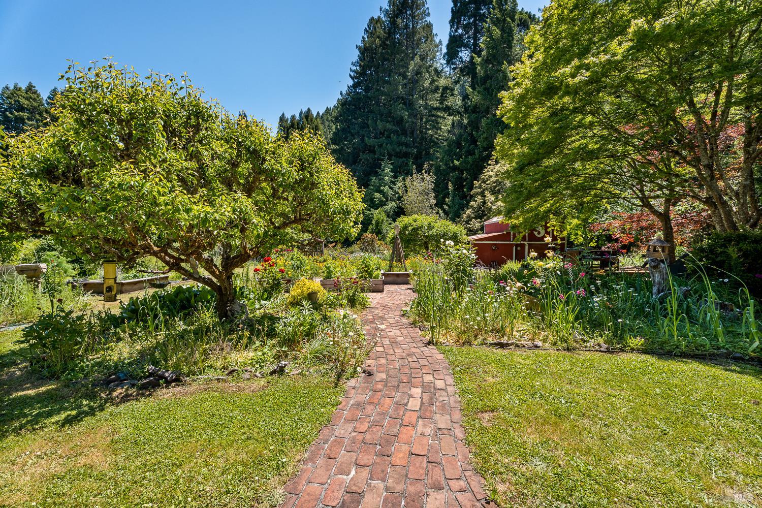 31501 Comptche Ukiah Road Comptche, CA 95427 - Photo 34 of 85 Garden