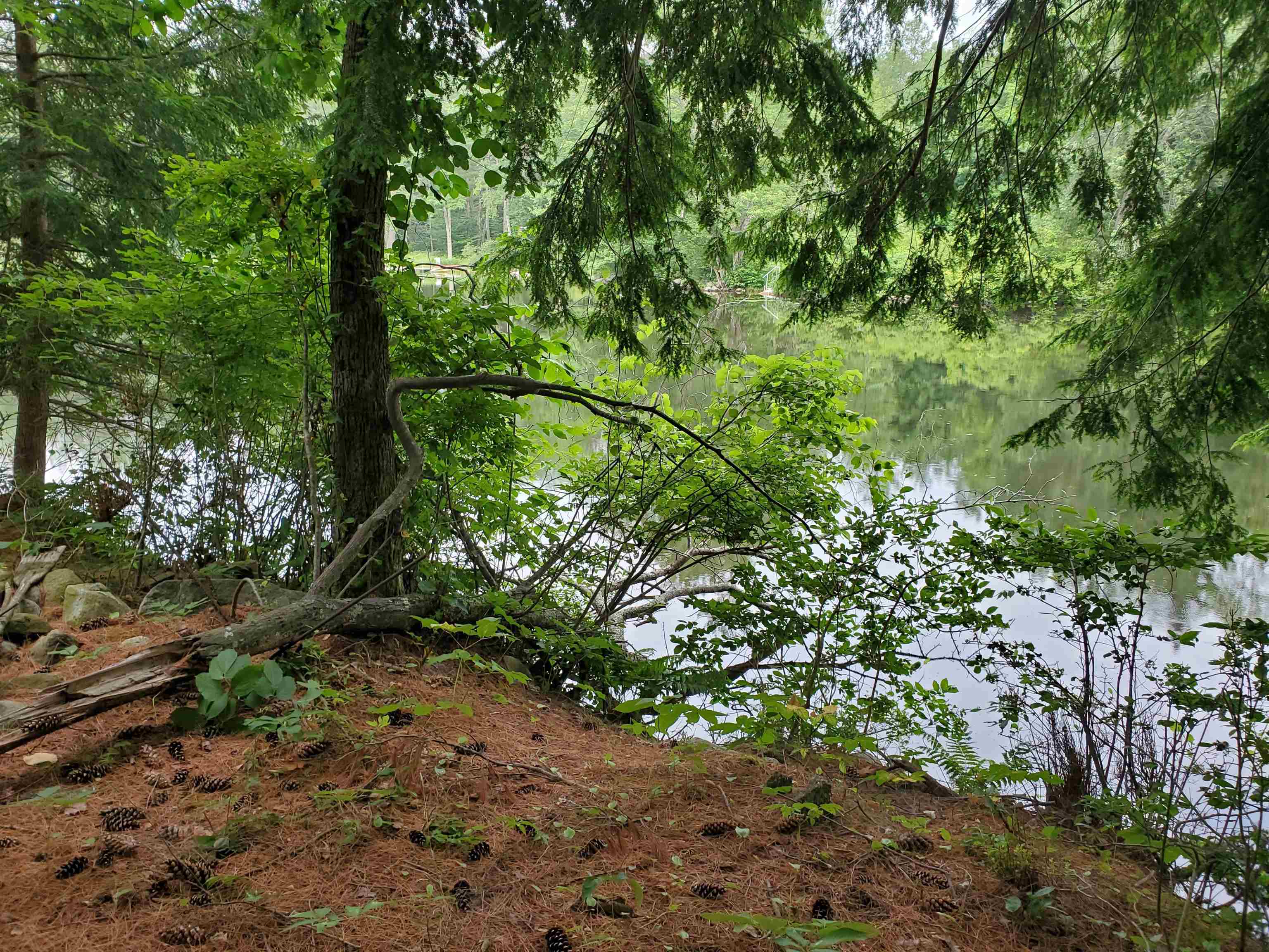 529 Lockehaven Road Enfield, NH 03748 - Photo 28 of 37