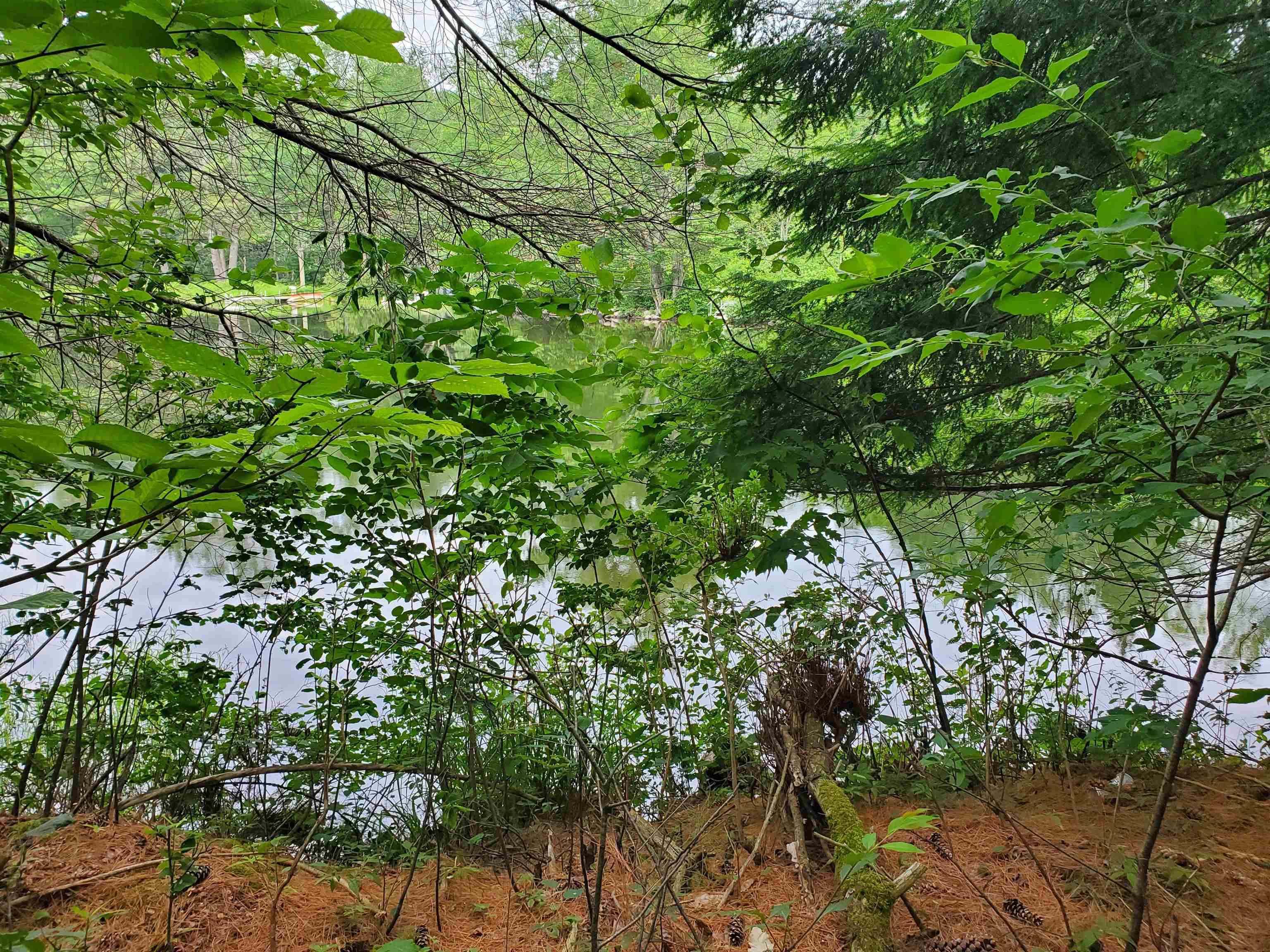 529 Lockehaven Road Enfield, NH 03748 - Photo 29 of 37