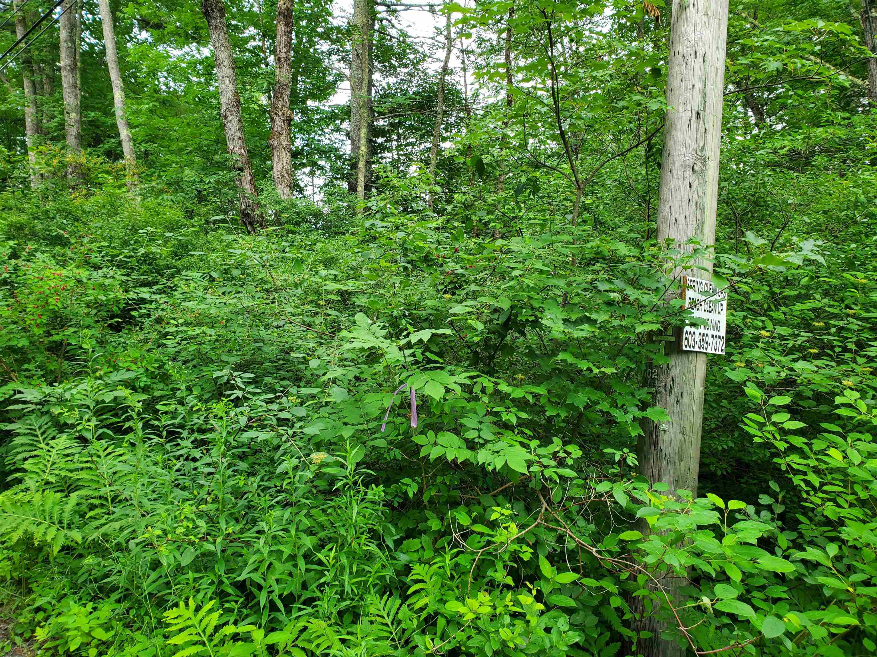 529 Lockehaven Road Enfield, NH 03748 - Photo 30 of 37