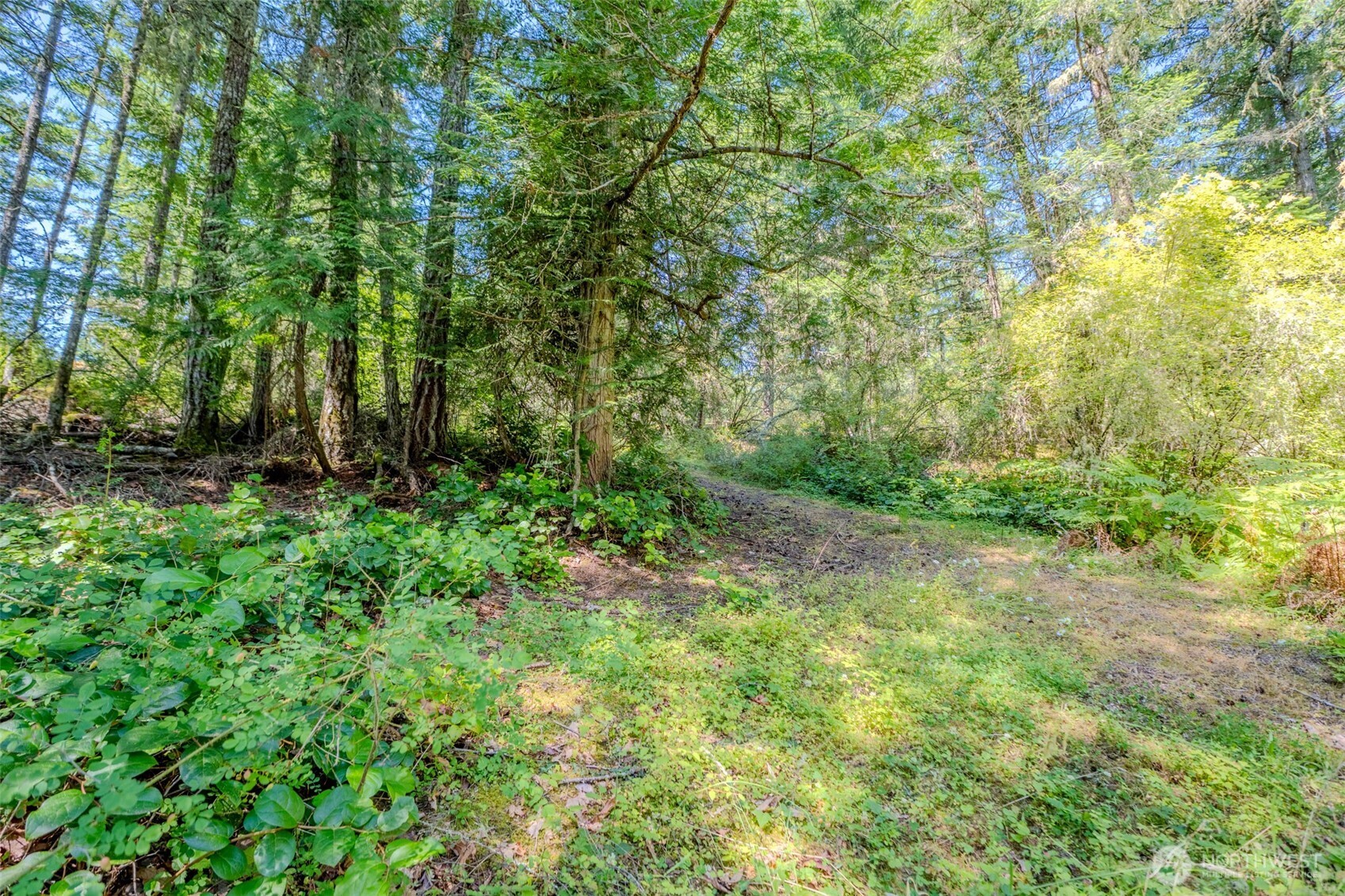 678 Swan Road Orcas Island, WA 98245 - Photo 5 of 39
