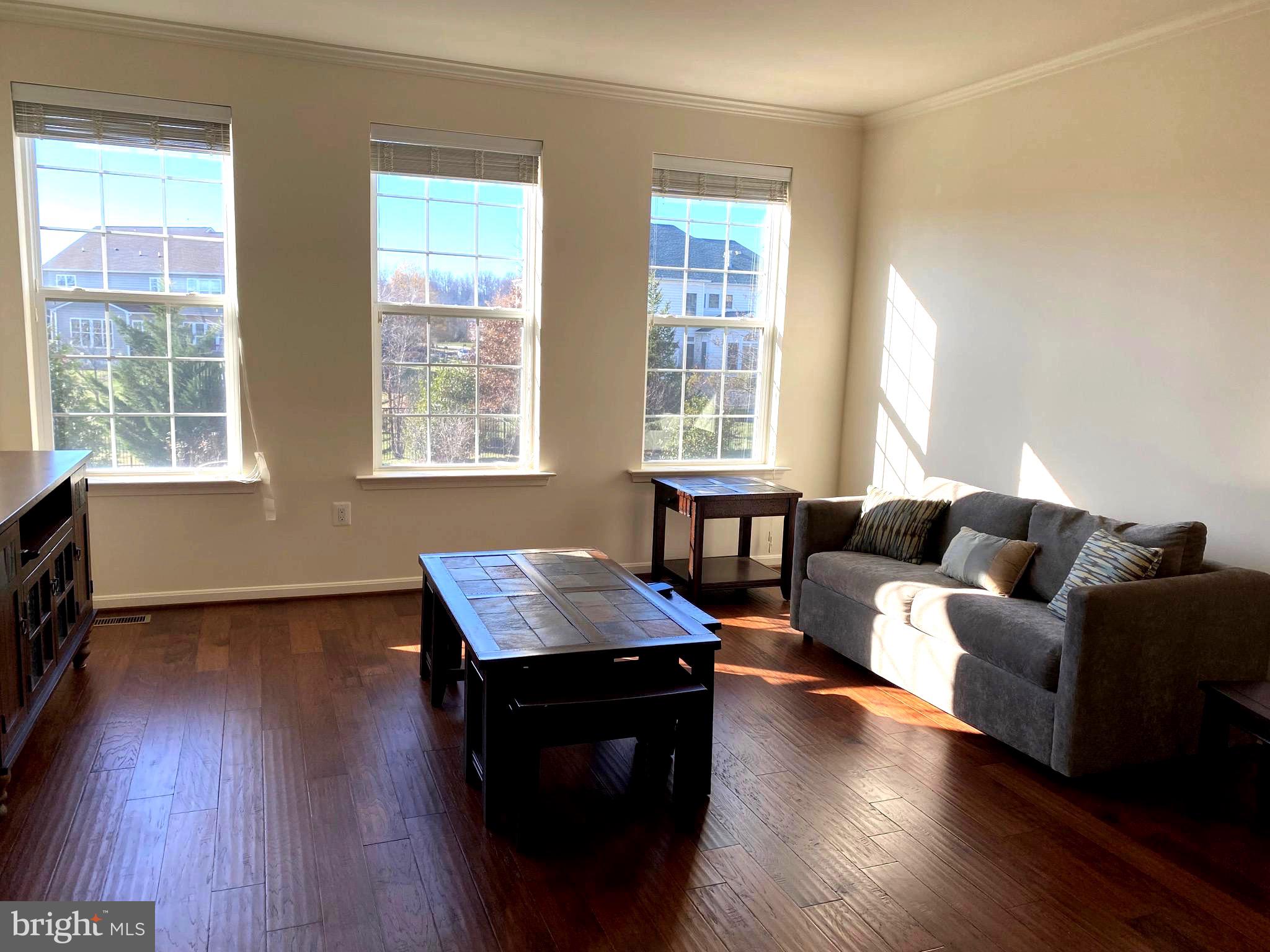 44153 Seawolve Square Chantilly, VA 20152 - Photo 18 of 52 Three Tall Windows