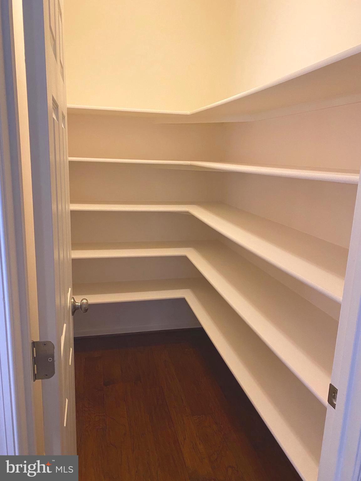 44153 Seawolve Square Chantilly, VA 20152 - Photo 20 of 52 Large Kitchen Pantry