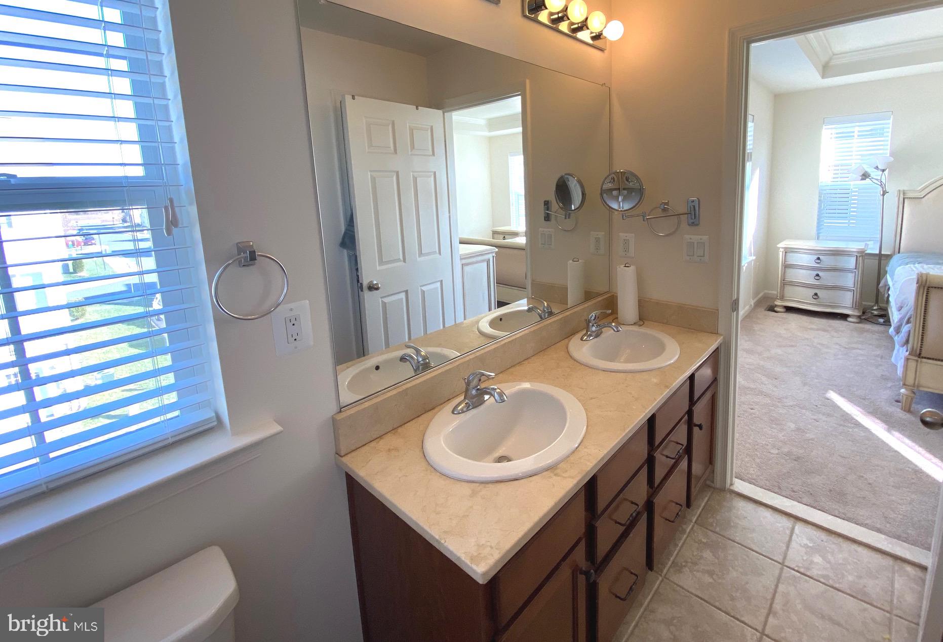 44153 Seawolve Square Chantilly, VA 20152 - Photo 26 of 52 Double Sink in Primary Bathroom