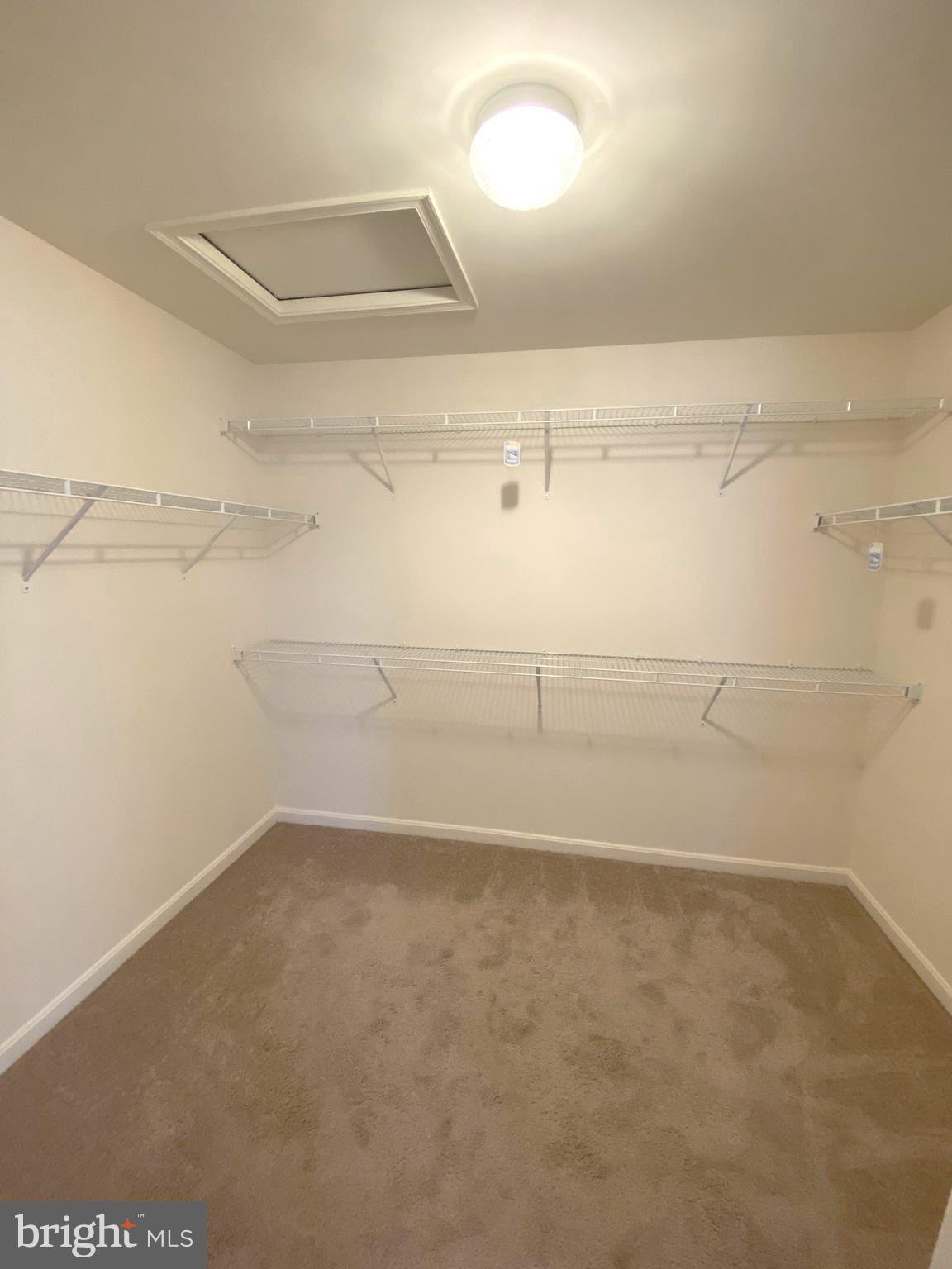 44153 Seawolve Square Chantilly, VA 20152 - Photo 27 of 52 Ample Sized Walk In Closet