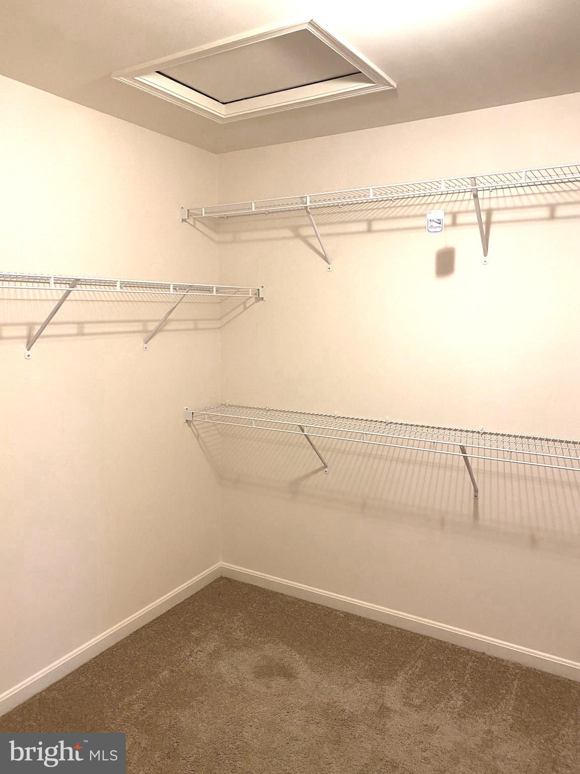 44153 Seawolve Square Chantilly, VA 20152 - Photo 28 of 52 Generous sized Walk In Closet