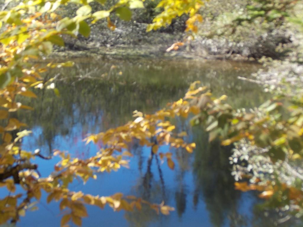 134 Skidmore Road North Anson, ME 04958 - Photo 13 of 14 Photo