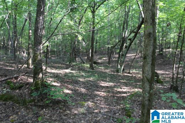 1 Benefield Gap Road Attalla, AL 35954 - Photo 17 of 50