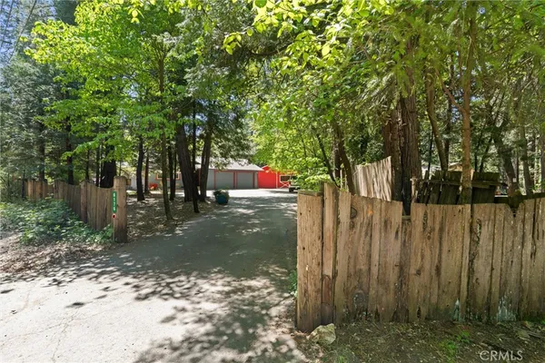 a view of a park with large trees