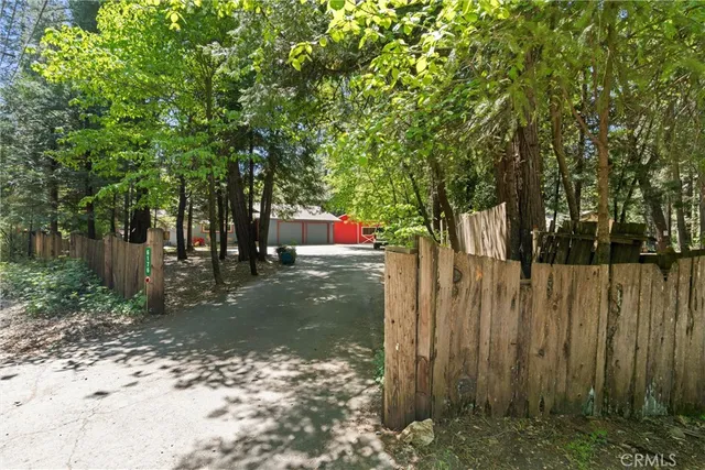 a view of a park with large trees