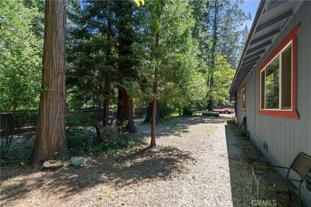 a view of a backyard with a tree